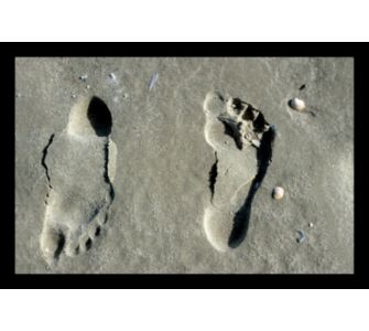 Artra FuÃŸmatte waschbar mit Fotomotiv ´´´´ FÃ¼ÃŸe ´´