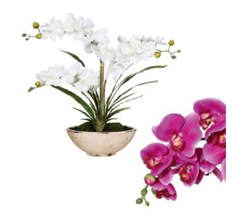 Kunstpflanze Orchidee Vanda in Craquele Schale, H&ouml;he 55 cm