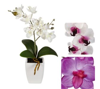 Kunstpflanzen Mini Orchideen im wei&szlig;en Keramiktopf, 3er-Set