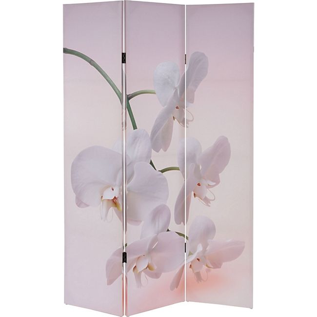 Foto Paravent Bagheria Paravent Raumteiler Spanische Wand 180x120cm Orchidee Online Kaufen Bei Netto